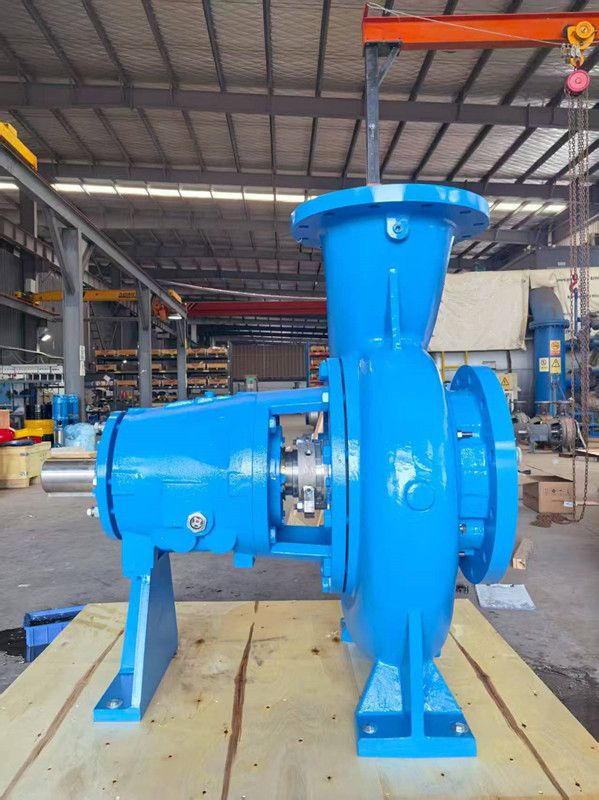 CD4MCuN Duplex Stainless Steel ANSI Process Pump